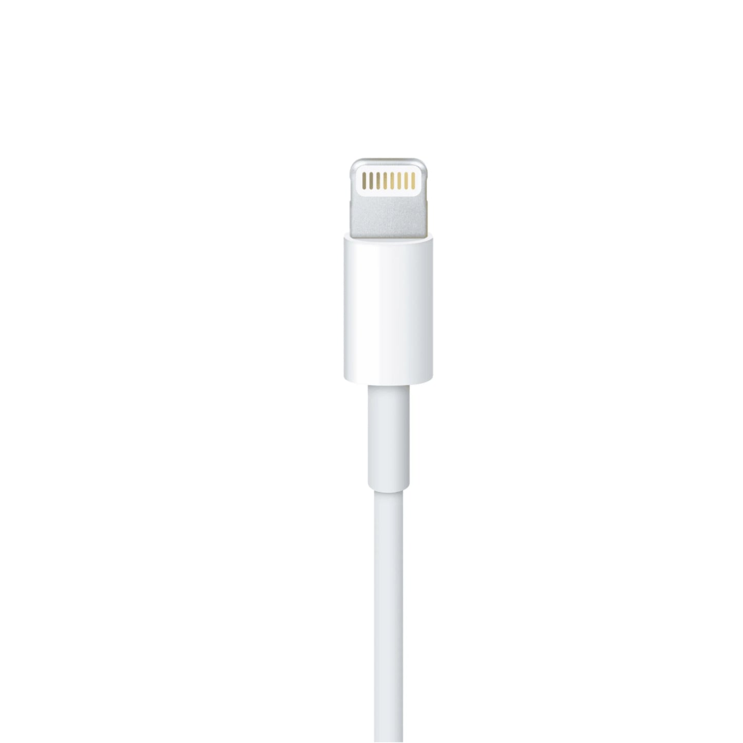 Cable Apple Lightning a USB(1 m)