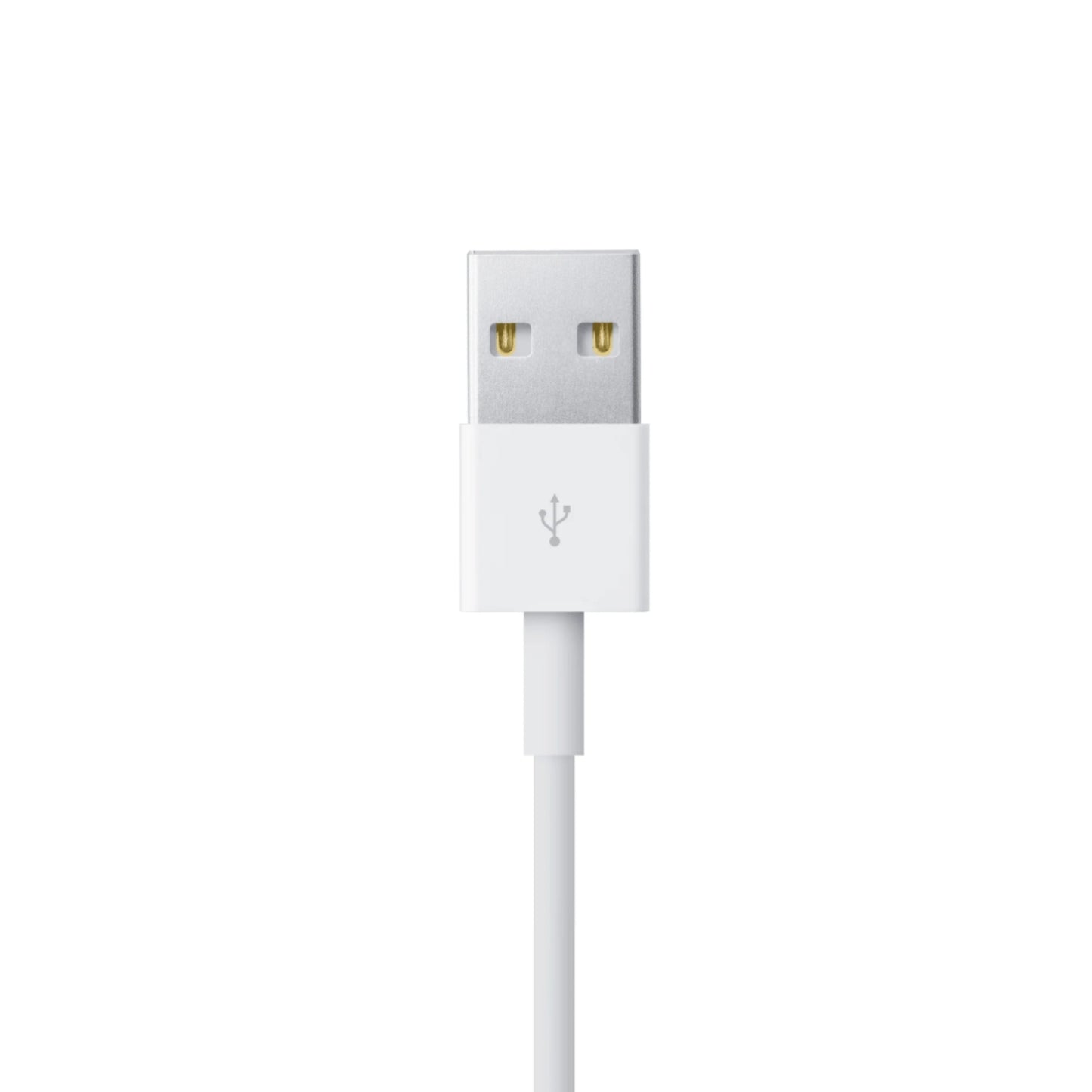 Cable Apple Lightning a USB(1 m)